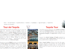 Tablet Screenshot of ambientetequilero.com